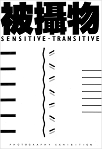 吳漢霖_被攝物_Ng Hon Lam_Sensitive Transitive