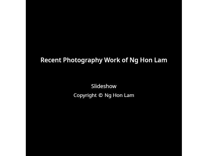 Ng Hon Lam Photography