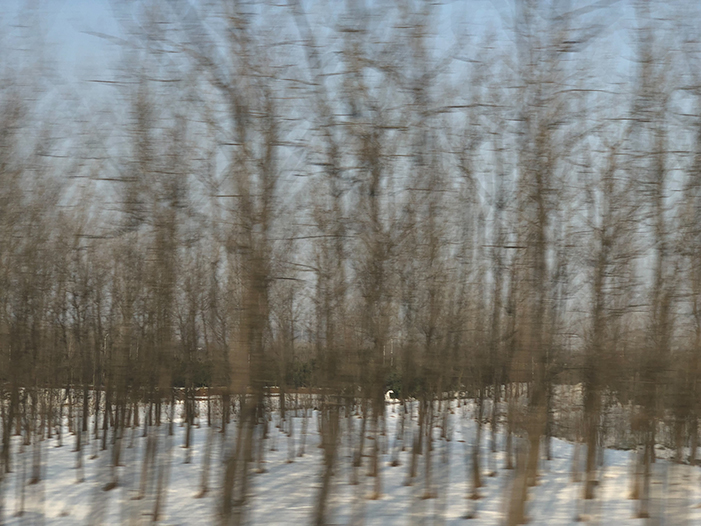 Ng Hon Lam Photography