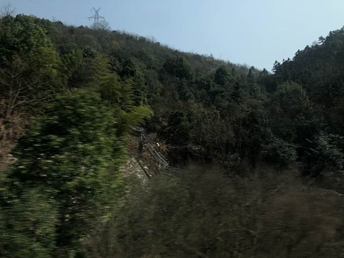 Ng Hon Lam Photography