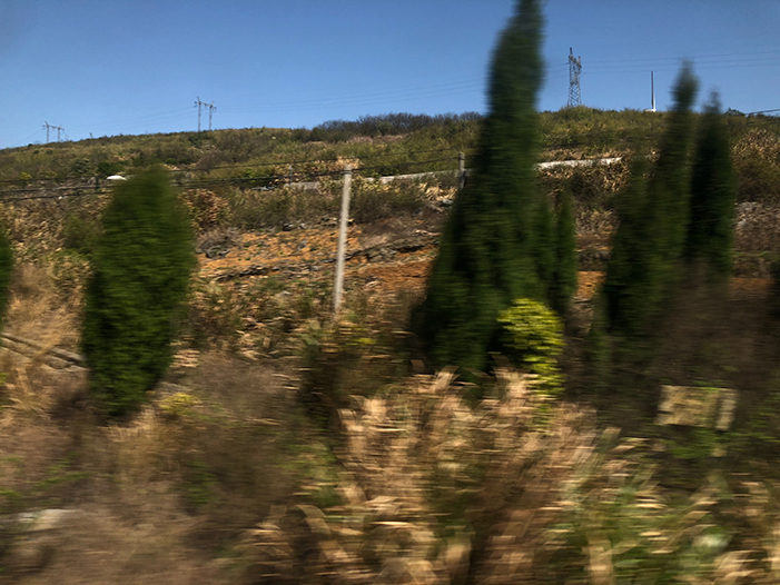 Ng Hon Lam Photography