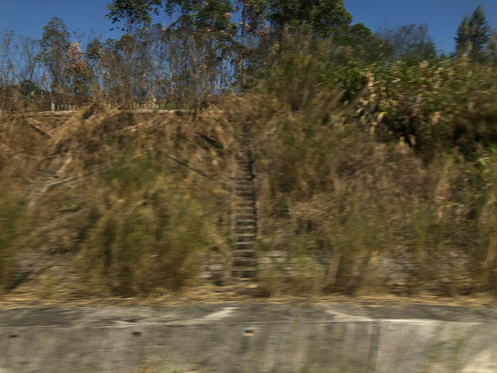 Ng Hon Lam Photography