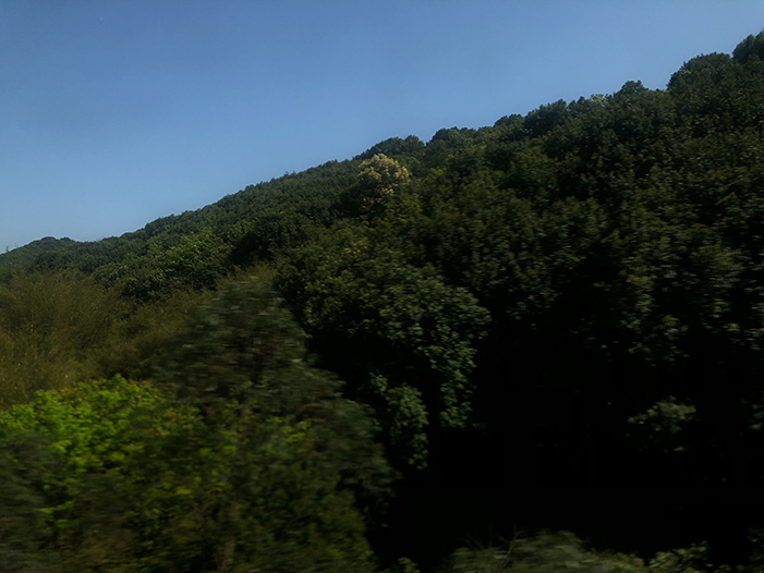 Ng Hon Lam Photography