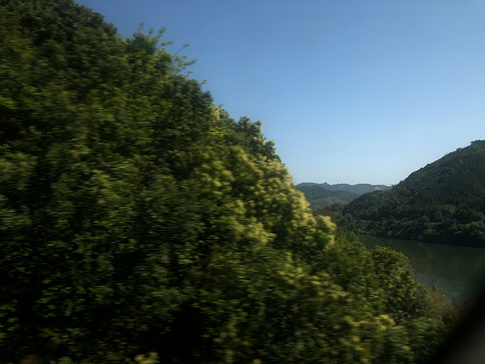 Ng Hon Lam Photography