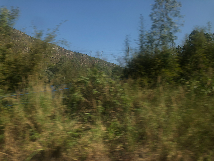 Ng Hon Lam Photography