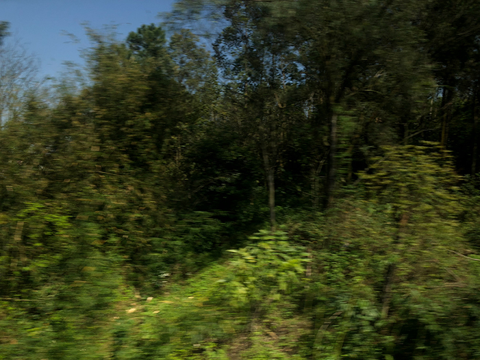 Ng Hon Lam Photography