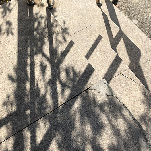 Ng Hon Lam Photography