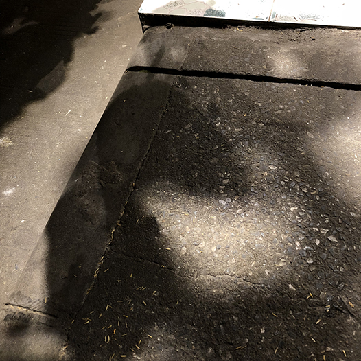 Ng Hon Lam Photography