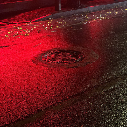 Ng Hon Lam Photography