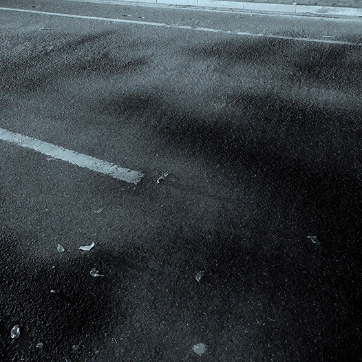 Ng Hon Lam Photography