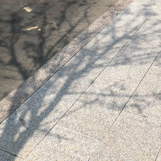 Ng Hon Lam Photography