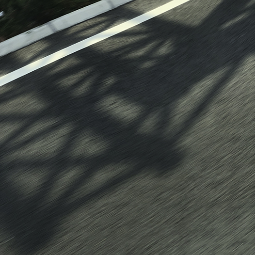 Ng Hon Lam Photography