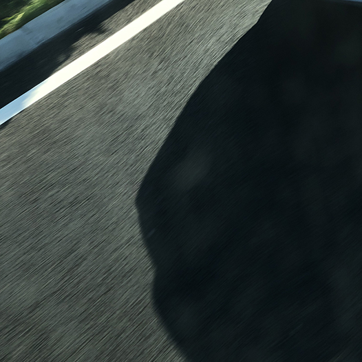 Ng Hon Lam Photography