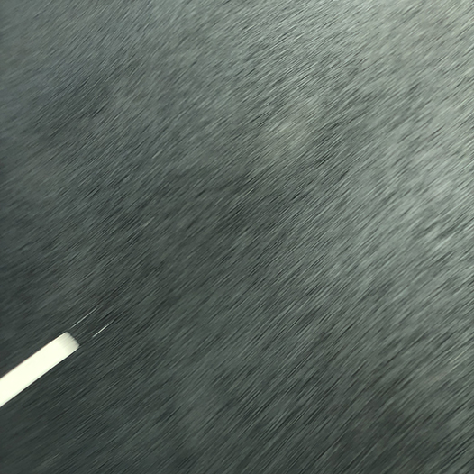 Ng Hon Lam Photography