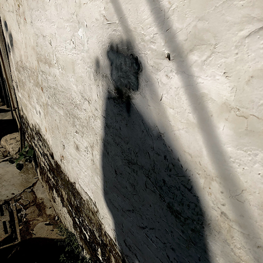 Ng Hon Lam Photography