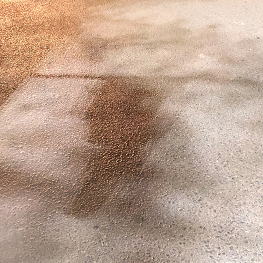 Ng Hon Lam Photography