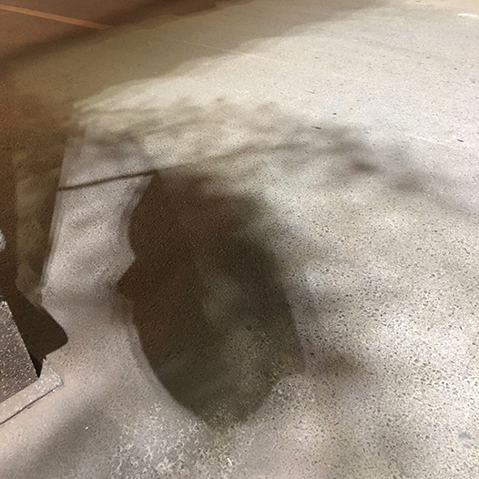 Ng Hon Lam Photography