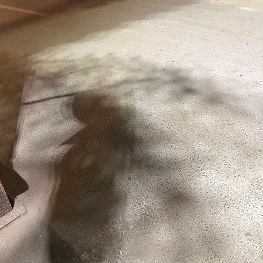 Ng Hon Lam Photography