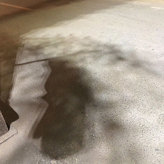 Ng Hon Lam Photography