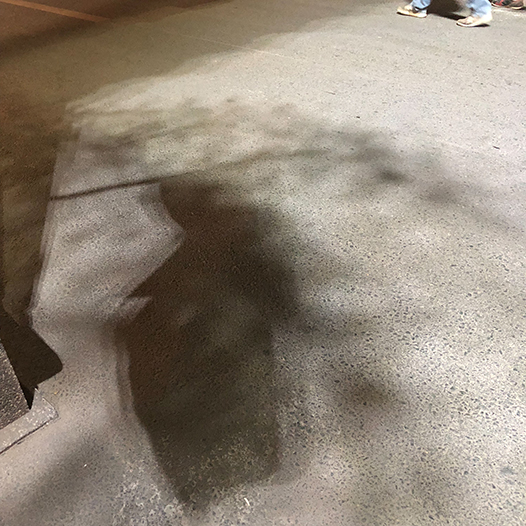 Ng Hon Lam Photography