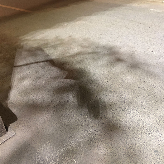 Ng Hon Lam Photography