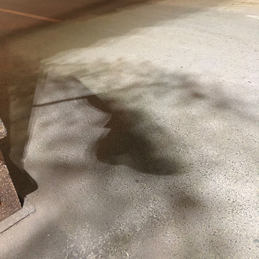 Ng Hon Lam Photography