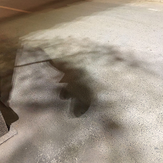 Ng Hon Lam Photography