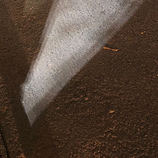 Ng Hon Lam Photography