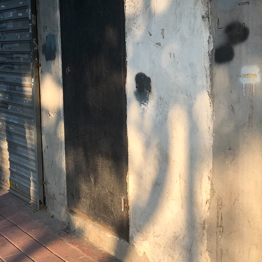 Ng Hon Lam Photography