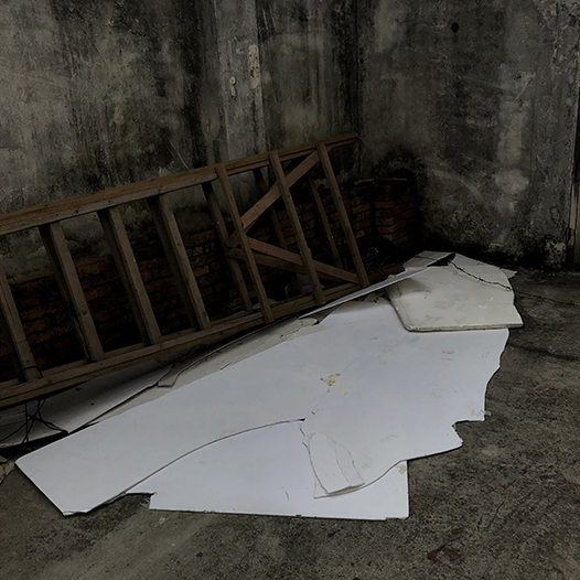 Ng Hon Lam Photography