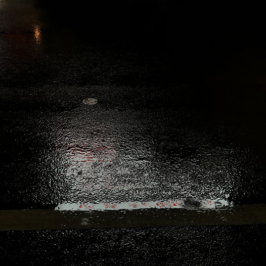 Ng Hon Lam Photography