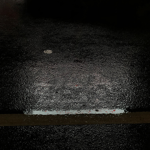 Ng Hon Lam Photography