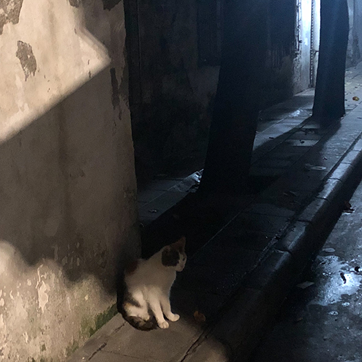 Ng Hon Lam Photography