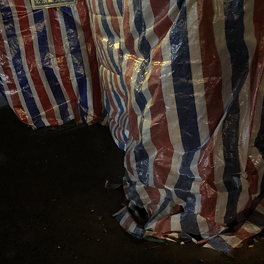 Ng Hon Lam Photography