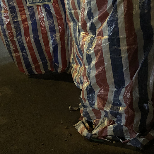 Ng Hon Lam Photography