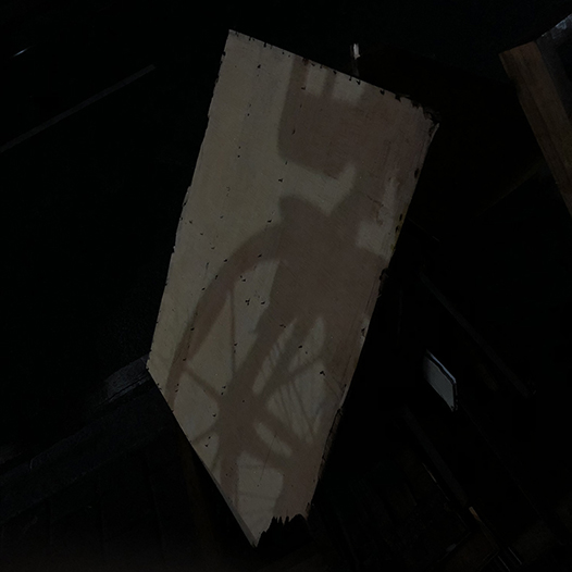 Ng Hon Lam Photography