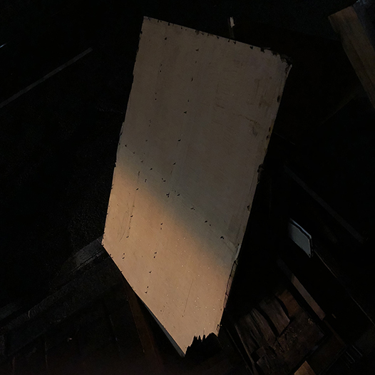 Ng Hon Lam Photography