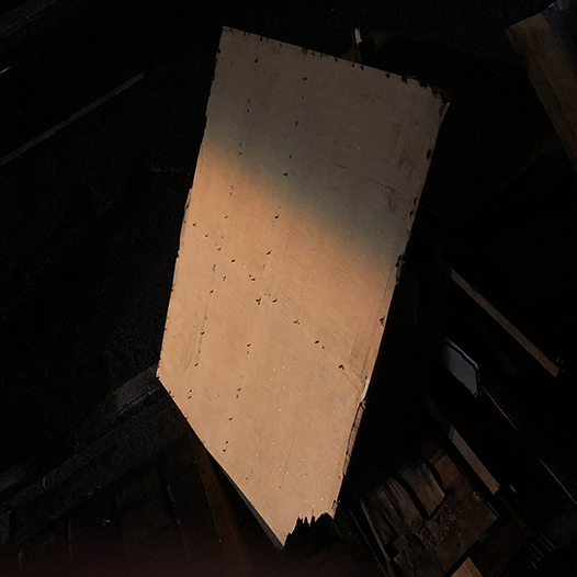 Ng Hon Lam Photography