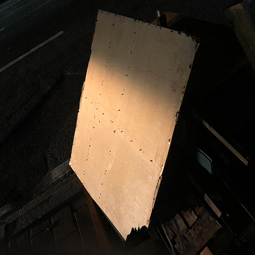 Ng Hon Lam Photography