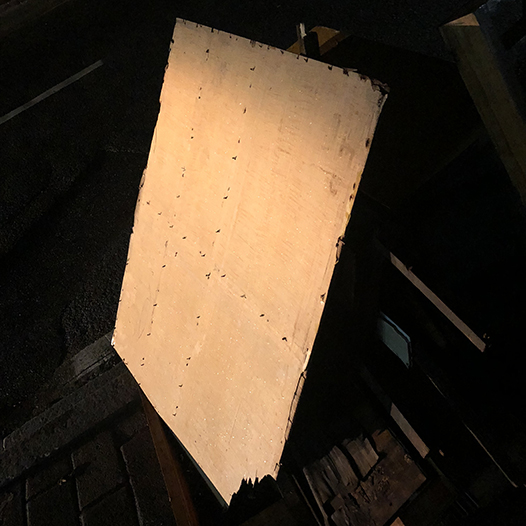 Ng Hon Lam Photography