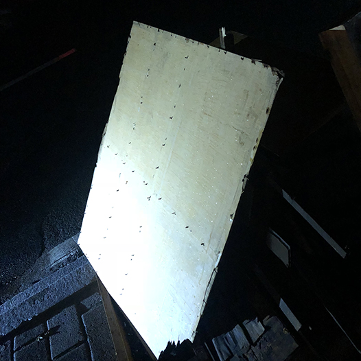 Ng Hon Lam Photography