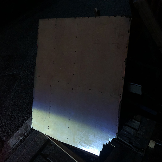 Ng Hon Lam Photography