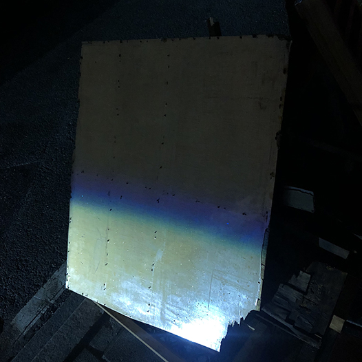 Ng Hon Lam Photography