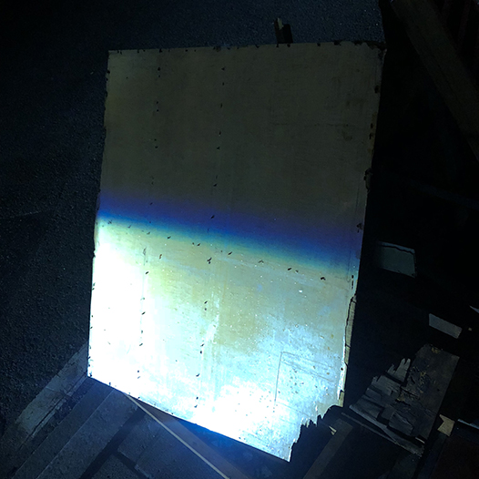 Ng Hon Lam Photography