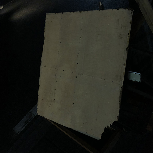 Ng Hon Lam Photography