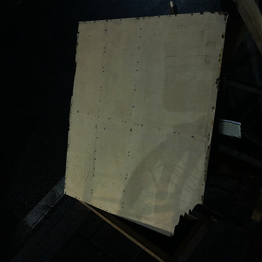 Ng Hon Lam Photography