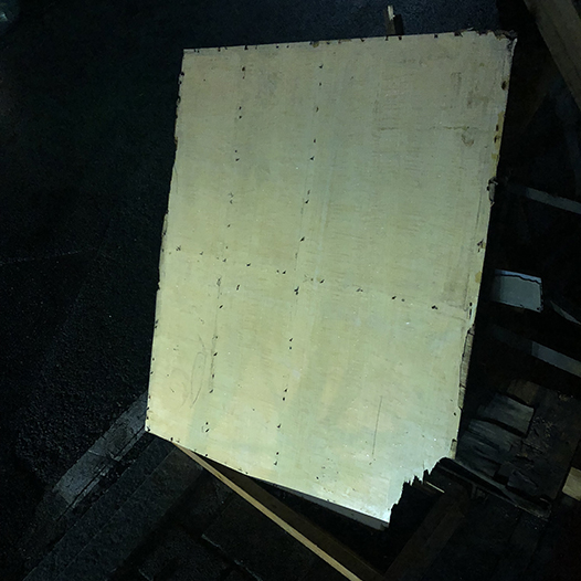 Ng Hon Lam Photography