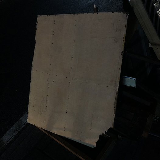 Ng Hon Lam Photography