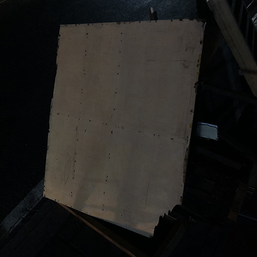 Ng Hon Lam Photography