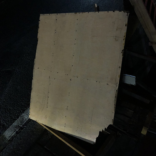 Ng Hon Lam Photography